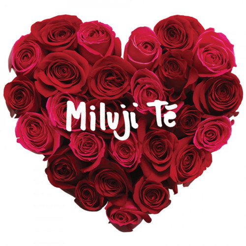 Various - Miluji Tě CD