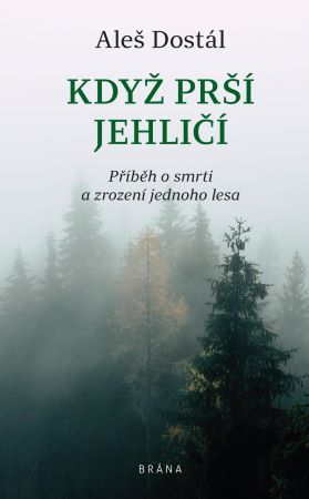 Kniha Když prší jehličí