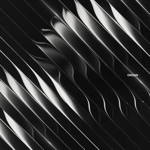 Dimension - Organ 2LP