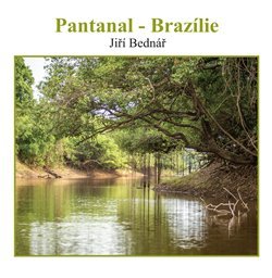 Pantanal - Brazílie