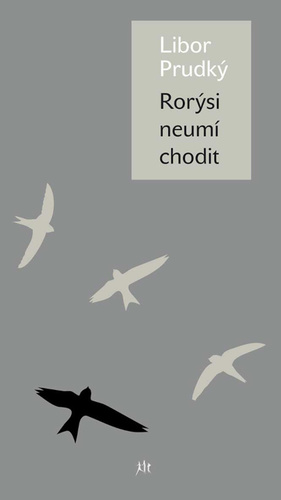 Kniha Rorýsi neumí chodit