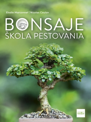 Bonsaje: škola pestovania - Elodie Marconnet,Nicolas Coulon