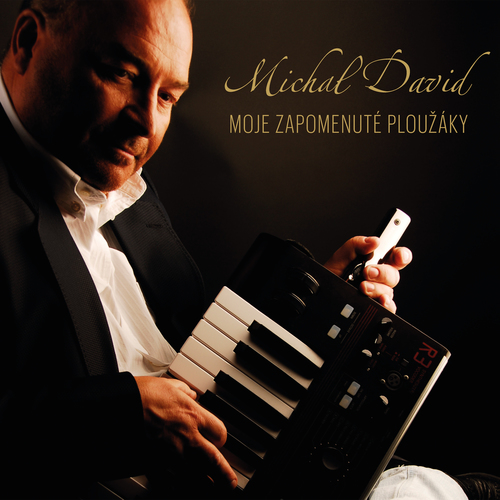 Kniha David Michal - Moje zapomenuté ploužáky 2LP