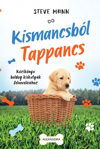 Kniha Kismancsból Tappancs - Steve Mann