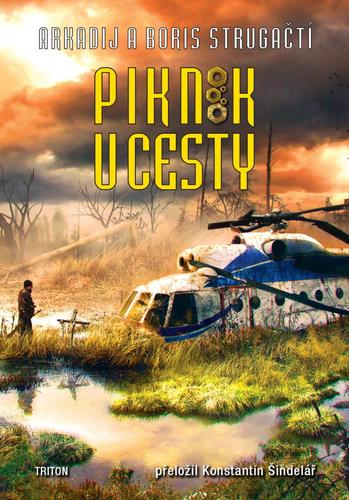 Kniha Piknik u cesty