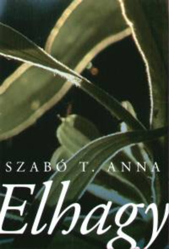 Elhagy - Anna T. Szabó