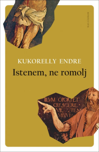 Kniha Istenem, ne romolj - Endre Kukorelly