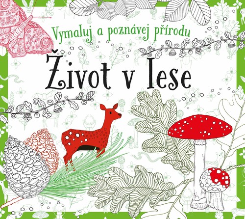 Kniha Život v lese - omalovánky - Susie Foster