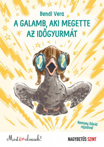 Kniha A galamb aki megette az időgyurmát - Vera Bendl,Dávid Remsey