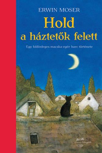 Kniha Hold a háztetők felett - Erwin Moser