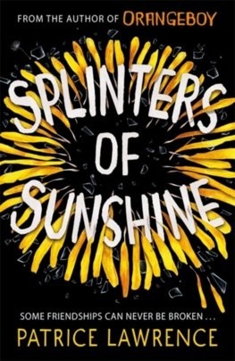 Kniha Splinters of Sunshine