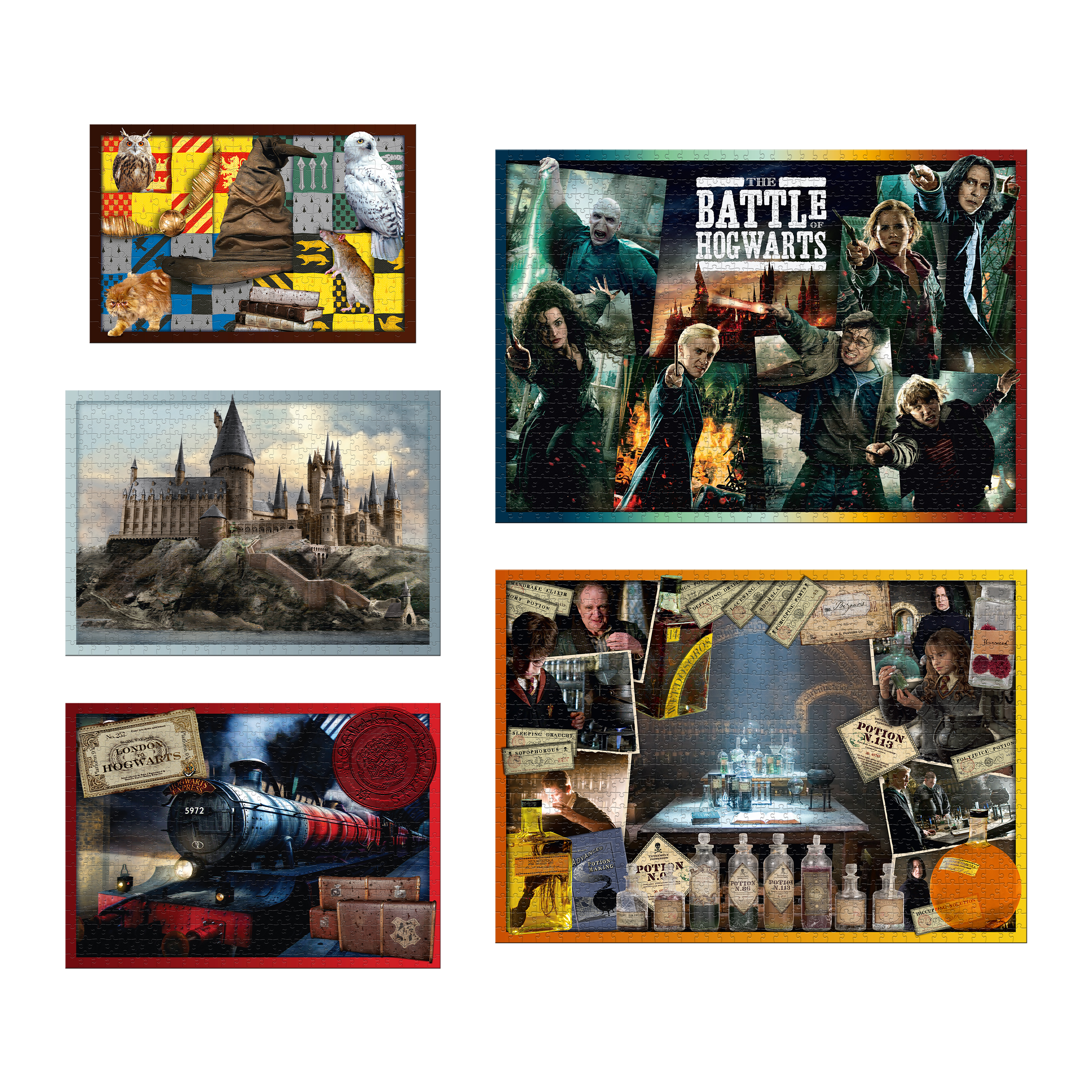 Puzzle Harry Potter 5v1 Winning Moves