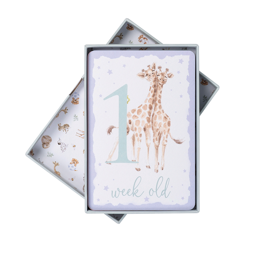 Miľníkové karty Wrendale Designs – môj prvý rok (bábätko)