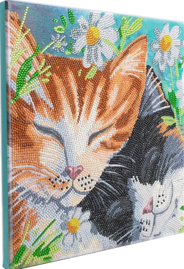 Obraz Ospalé mačky (30x30 cm) vykladanie z diamantov