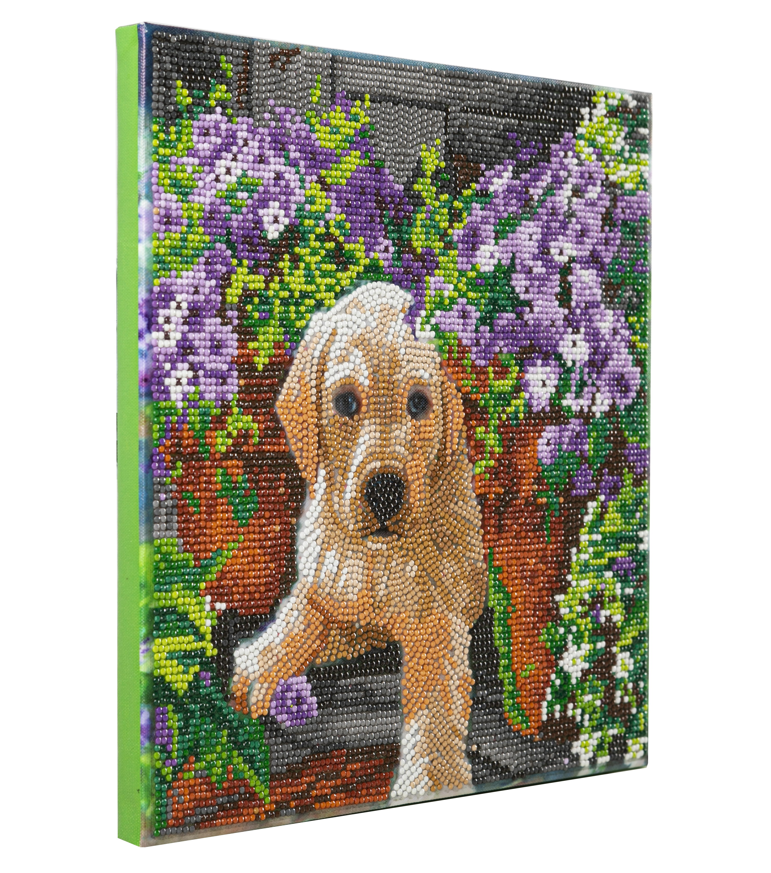 Obraz Šteniatko s kvetinami (30x30 cm) vykladanie z diamantov