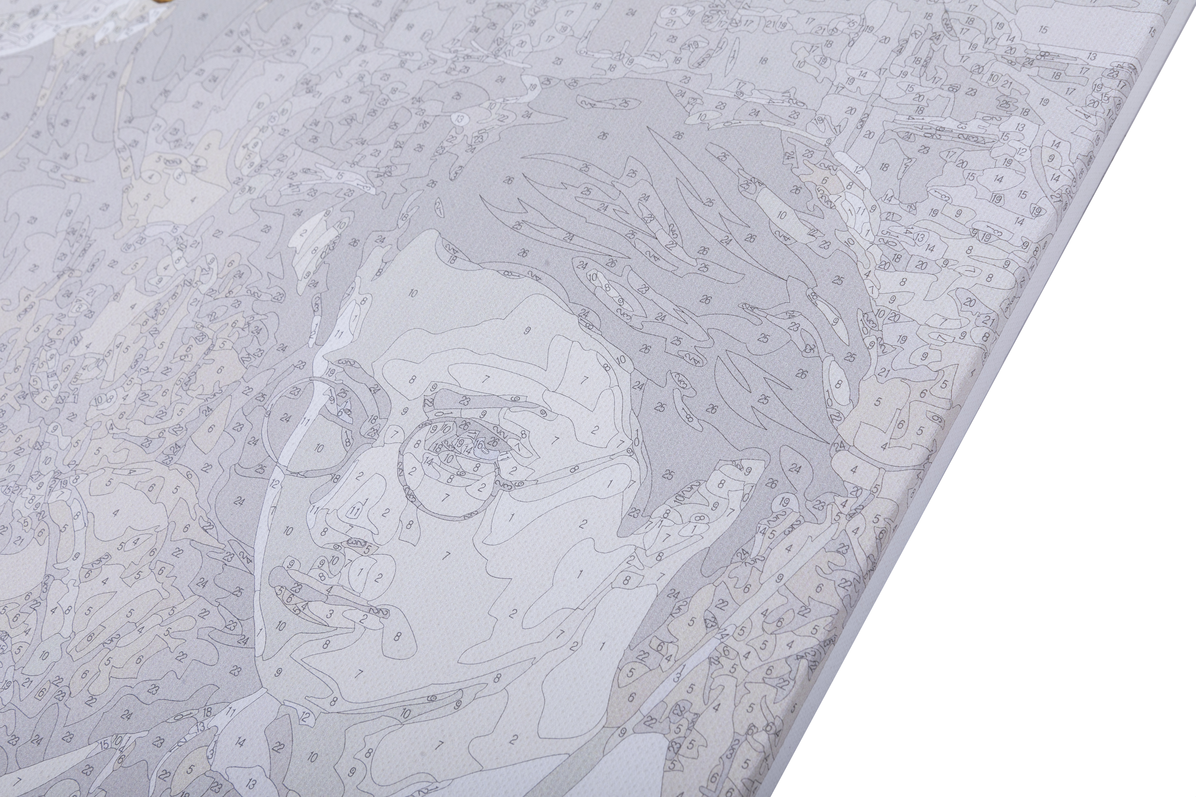 Obraz Harry Potter (30x50 cm) maľovanie podľa čísel