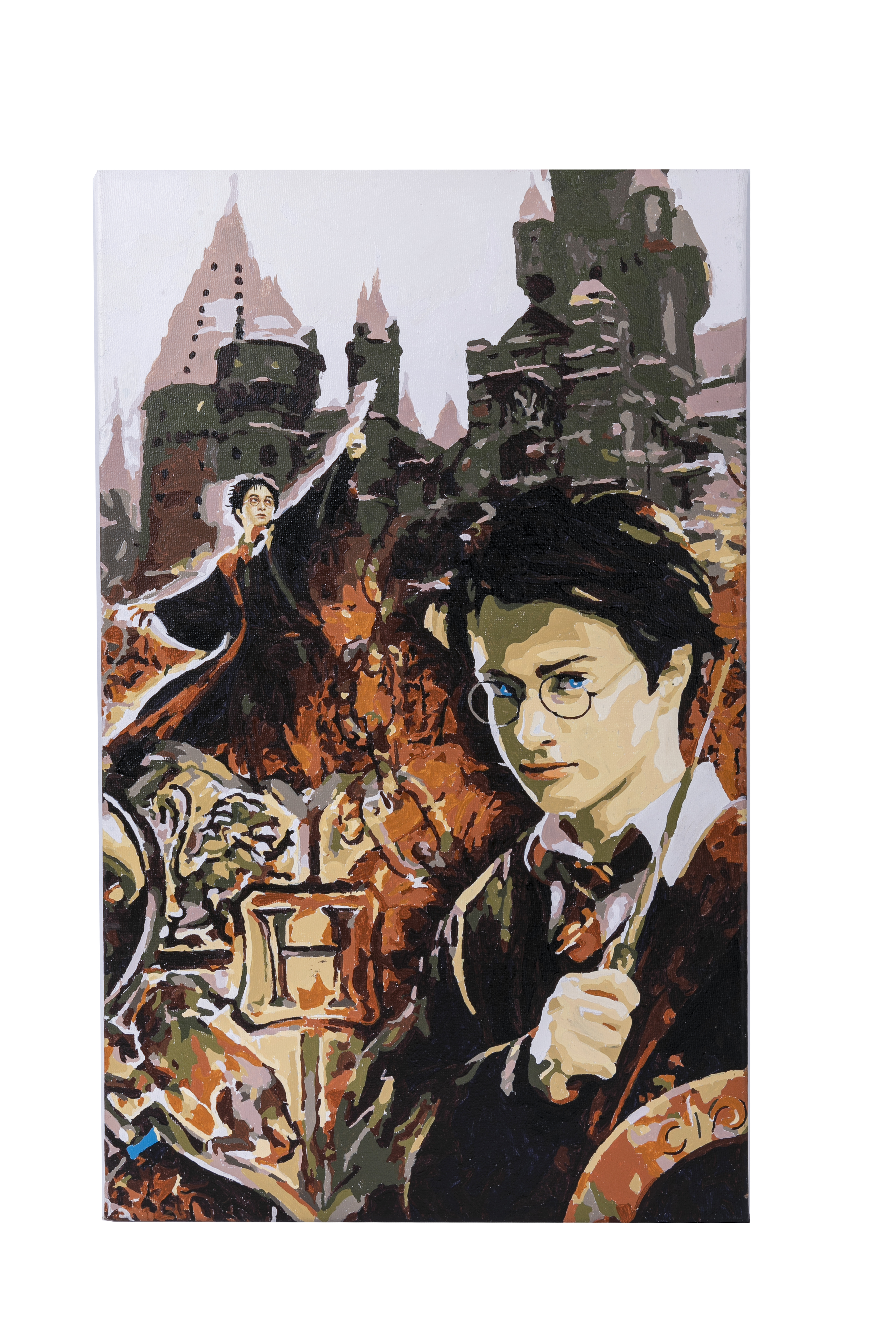 Obraz Harry Potter (30x50 cm) maľovanie podľa čísel