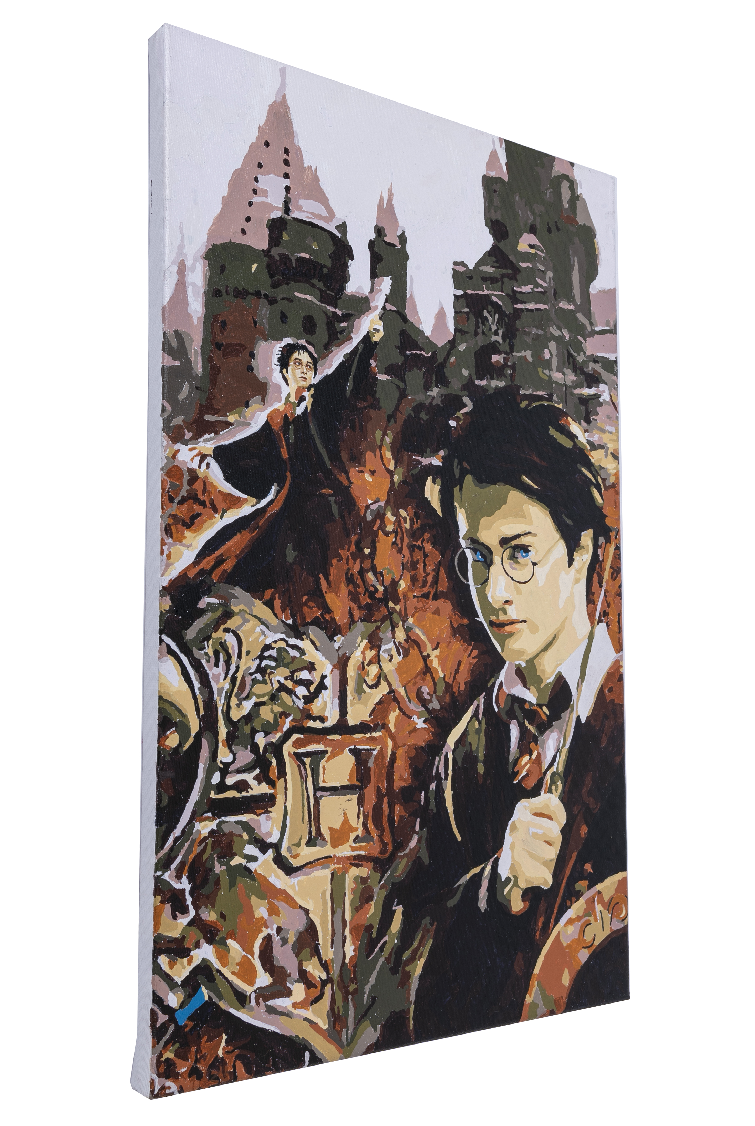Obraz Harry Potter (30x50 cm) maľovanie podľa čísel