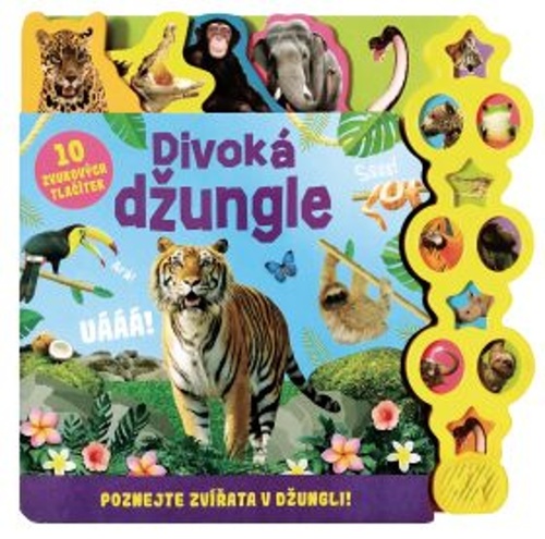 Džungle