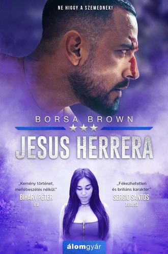 Kniha Jesus Herrera - Borsa Brown