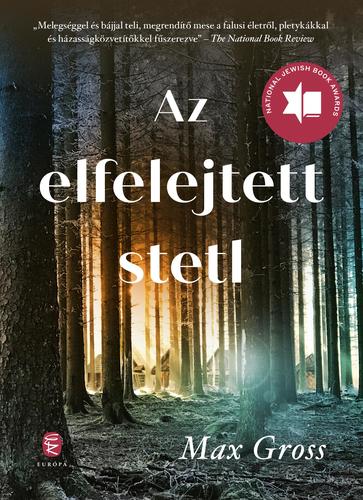 Kniha Az elfelejtett stetl - Max Gross