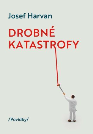 Kniha Drobné katastrofy