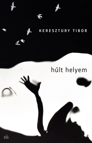 Kniha Hűlt helyem - Tibor Keresztury
