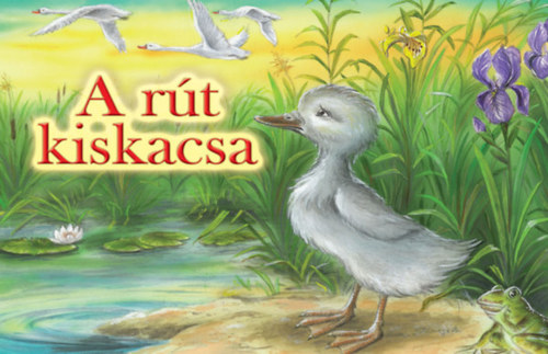 Kniha A rút kiskacsa - Hans Christian Andersen