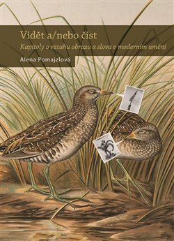 Kniha Vidět a/ nebo číst