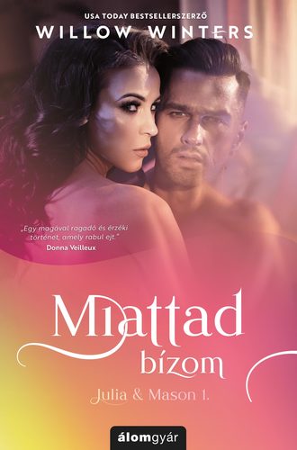 Kniha Julia & Mason 1: Miattad bízom - Willow Winters