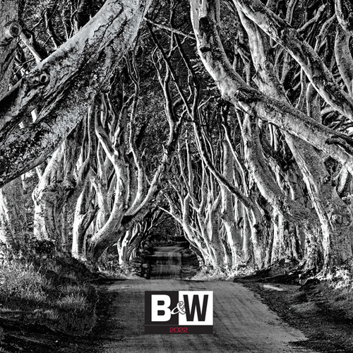 Nástenný kalendár Black & White 2022