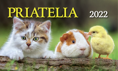 Stolový kalendár  Priatelia 2022