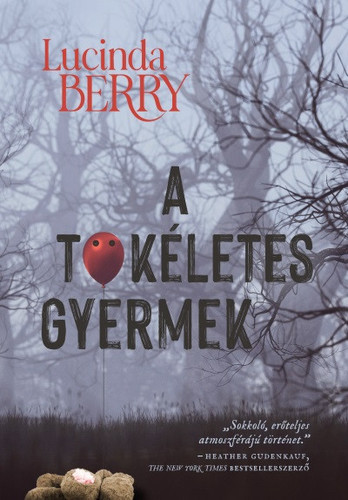 Kniha A tökéletes gyermek - Lucinda Berry