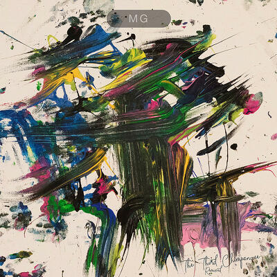 Kniha Gore Martin L. - The Third Chimpanzee Remixed CD