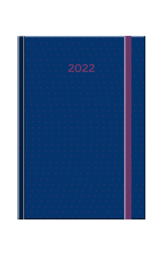 Pracovný diár A5  Point 2022 fialový