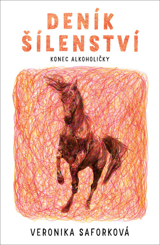 Kniha Deník šílenství