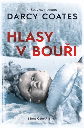 Kniha Hlasy v bouři