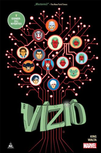 A Vízió