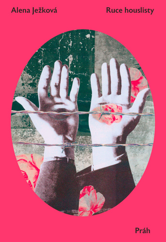 Kniha Ruce houslisty