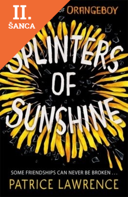 Lacná kniha Splinters of Sunshine