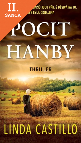 Lacná kniha Pocit hanby