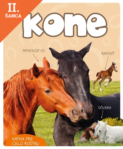 Lacná kniha Kone