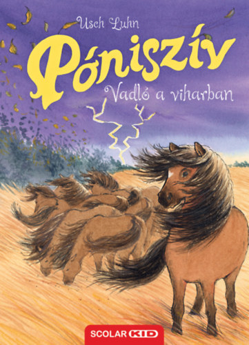 Kniha Póniszív - Vadló a viharban - Usch Luhn