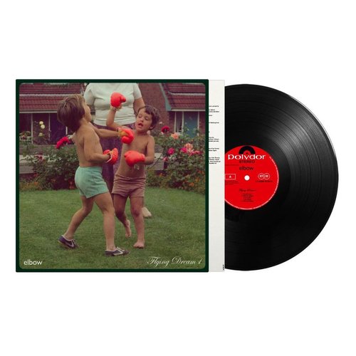 Kniha Elbow - Flying Dream 1 LP