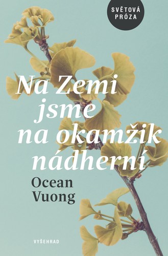 Kniha Na Zemi jsme na okamžik nádherní - Ocean Vuong,Martin Světlík