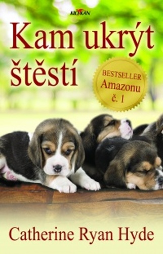 Kniha Kam ukrýt štěstí