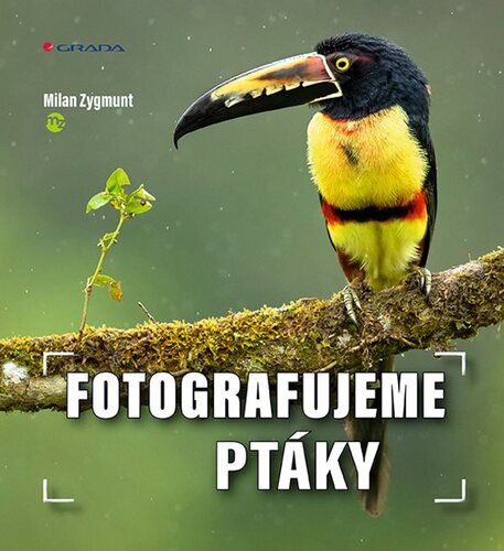 Kniha Fotografujeme ptáky