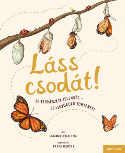 Láss csodát! - Rachel Williams,Freya Hartas