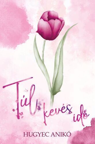 Kniha Túl kevés idő - Anikó Hugyec