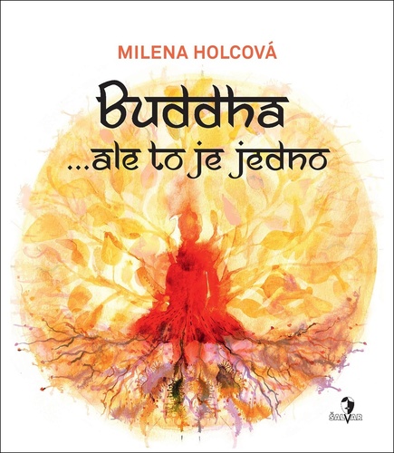 Buddha ... ale to je jedno - Milena Holcová